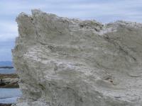 Albums/20060200-New Zealand 2006/20060318-Kaikiura/14